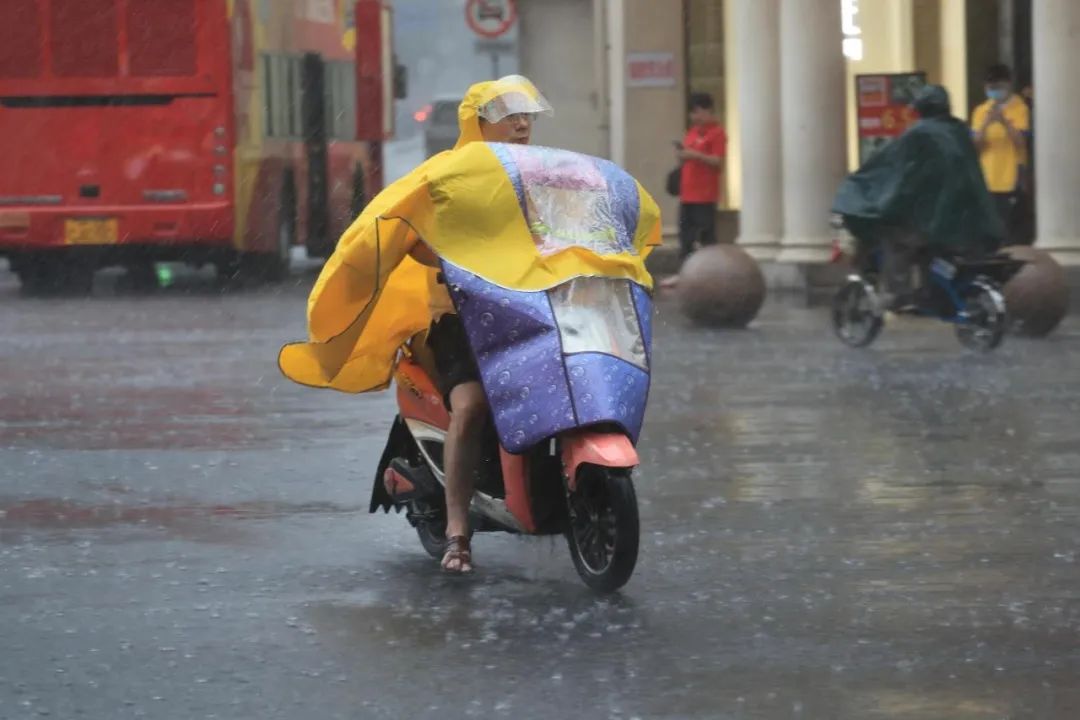 上海暴雨藍色預警信號更新為暴雨黃色預警信號 圖:擷取至上海氣象 上海暴雨藍色預警信號更新為暴雨黃色預警信號 圖:擷取至上海氣象