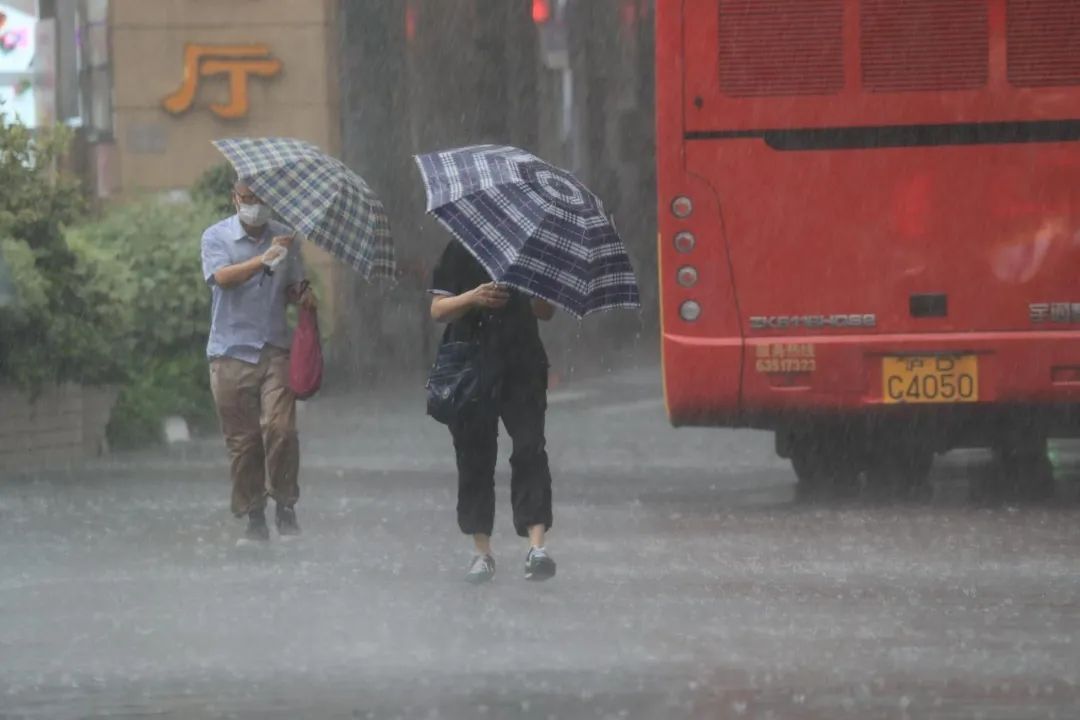 上海暴雨藍色預警信號更新為暴雨黃色預警信號 圖:擷取至上海氣象 上海暴雨藍色預警信號更新為暴雨黃色預警信號 圖:擷取至上海氣象