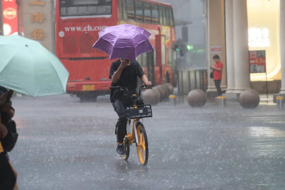 上海暴雨藍色預警信號更新為暴雨黃色預警信號 圖:擷取至上海氣象 上海暴雨藍色預警信號更新為暴雨黃色預警信號 圖:擷取至上海氣象