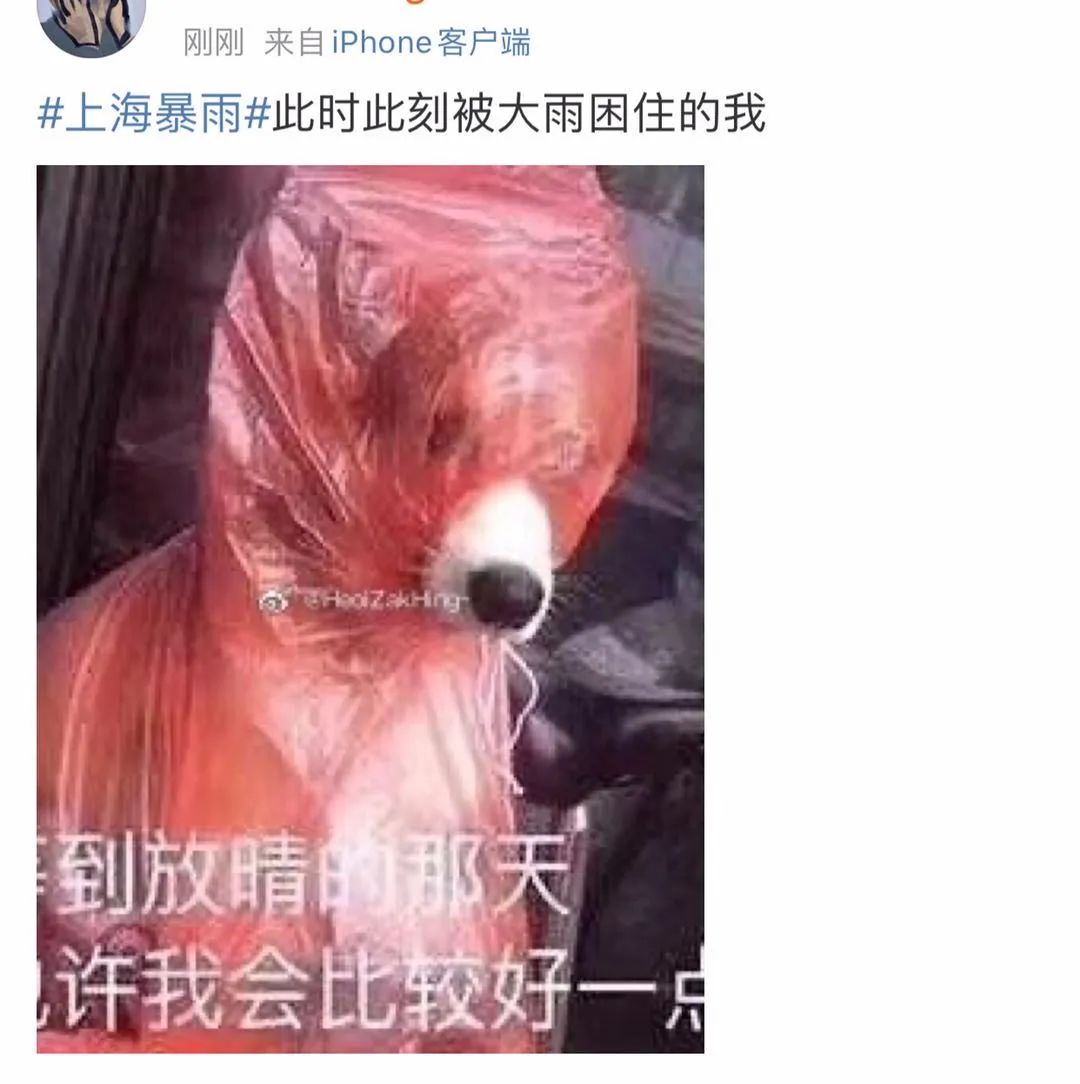 上海暴雨藍色預警信號更新為暴雨黃色預警信號 圖:擷取至上海氣象 上海暴雨藍色預警信號更新為暴雨黃色預警信號 圖:擷取至上海氣象