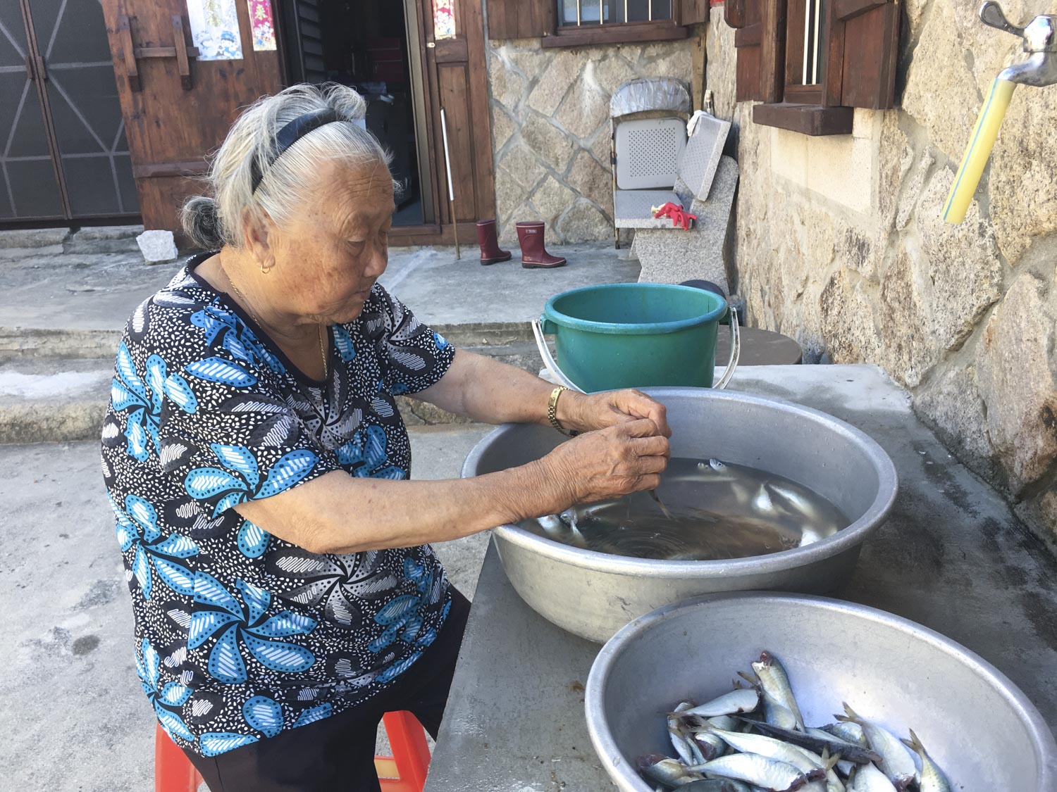 東莒大浦村的一位婆婆將鯷魚去頭準備曬成魚乾。 圖:張良一/攝 東莒大浦村的一位婆婆將鯷魚去頭準備曬成魚乾。 圖:張良一/攝