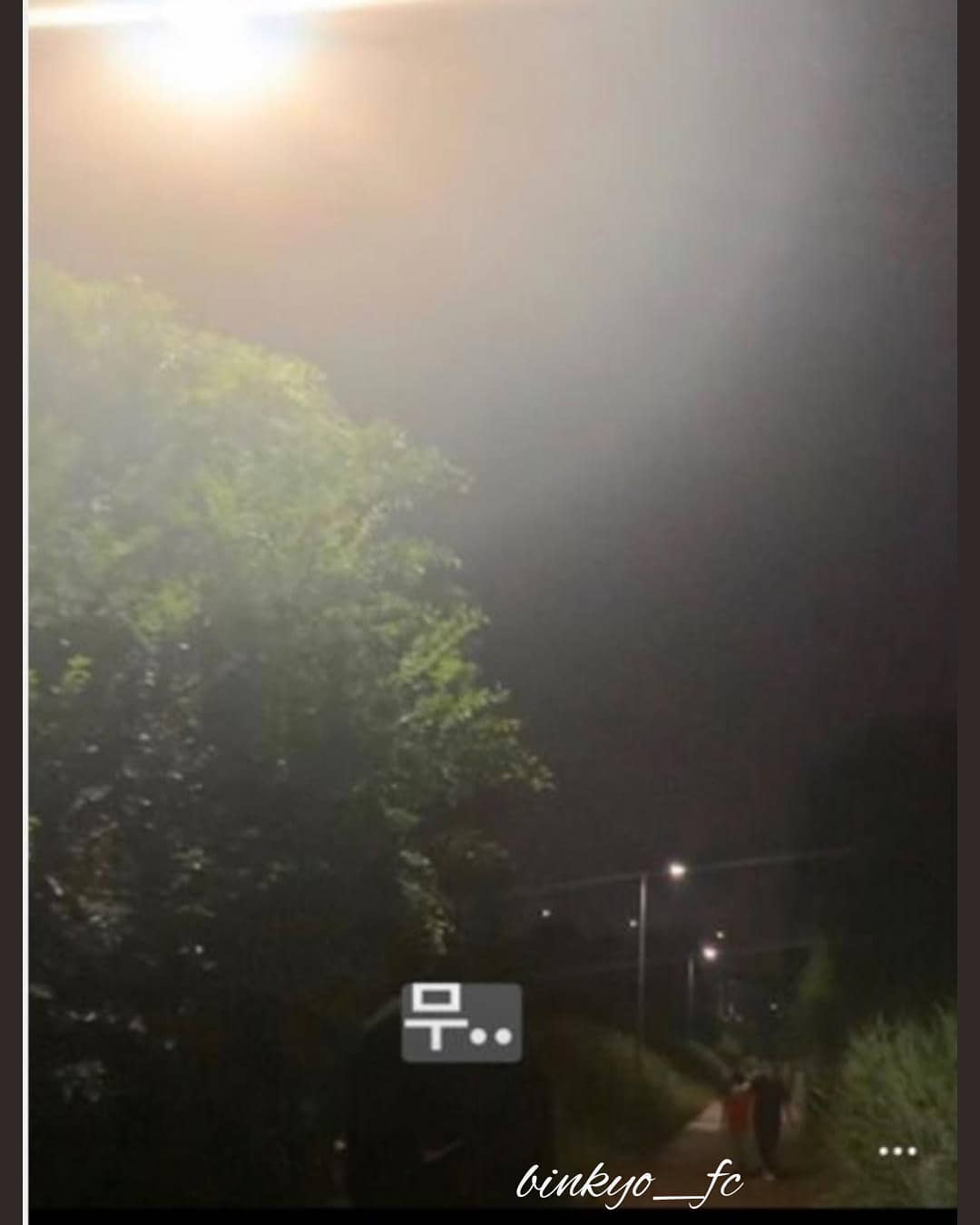 粉絲上傳疑似兩人深夜遛狗照引發討論 圖:翻攝自IG @binkyo_fc 粉絲上傳疑似兩人深夜遛狗照引發討論 圖:翻攝自IG @binkyo_fc