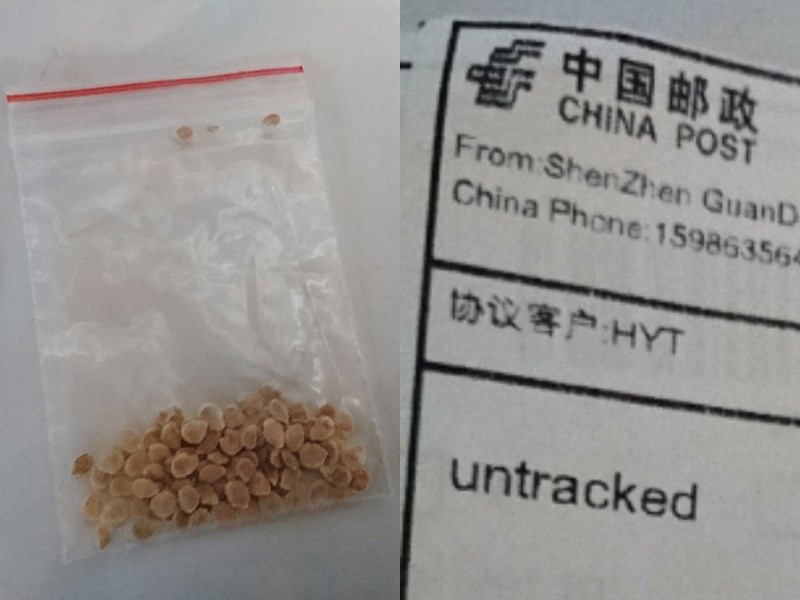 入侵美加台還不夠 日本民眾也收到中國可疑種子包裹
