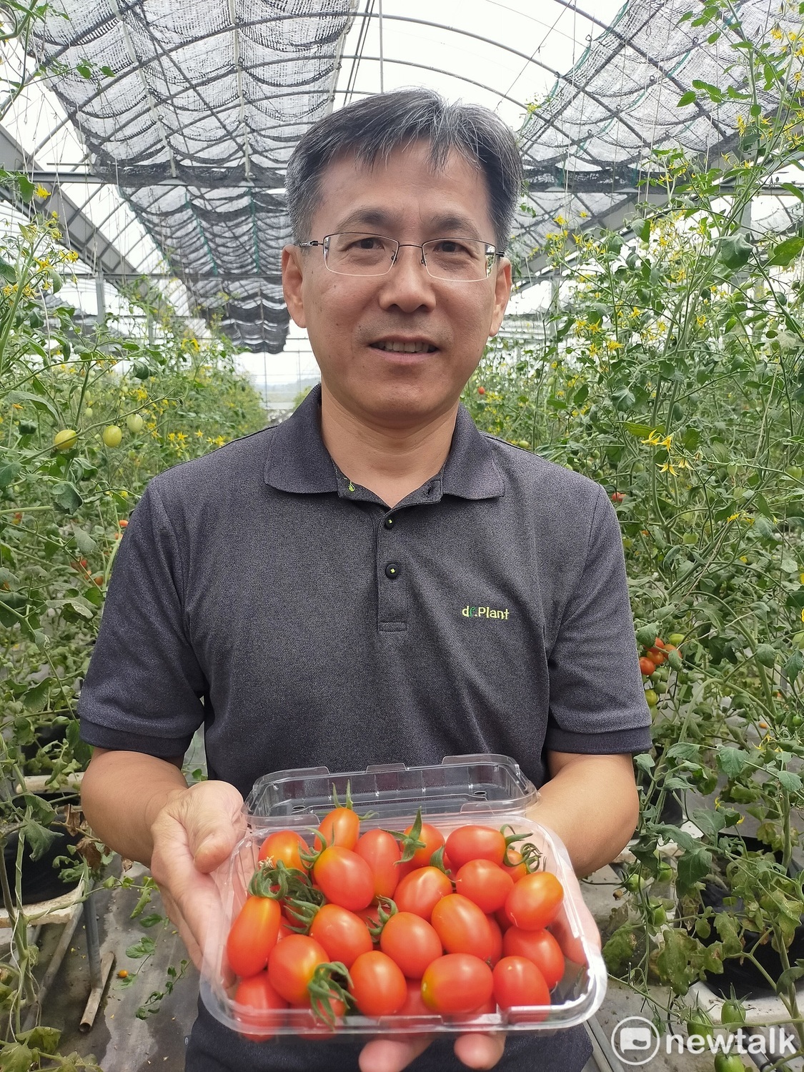 黃明發說,番茄紅了,醫生的臉就綠了。 圖:唐復年/攝 黃明發說,番茄紅了,醫生的臉就綠了。 圖:唐復年/攝
