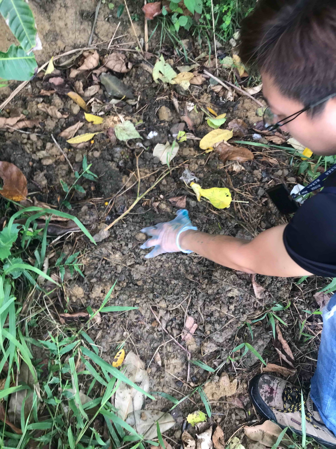 稽查員至現場調查發現土堆有異味,附近都是蒼蠅且有翻過的痕跡。 圖:新北市環保局提供 稽查員至現場調查發現土堆有異味,附近都是蒼蠅且有翻過的痕跡。 圖:新北市環保局提供