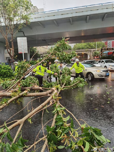 「米克拉」登陸福建,風強雨大造成路上一面狼藉。 圖:翻攝自微博廈門交警 「米克拉」登陸福建,風強雨大造成路上一面狼藉。 圖:翻攝自微博廈門交警