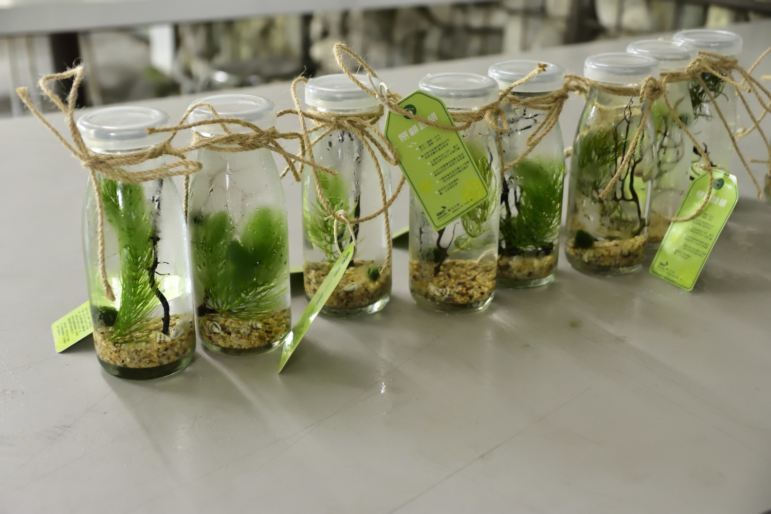 19家農場每座都有獨特的DIY體驗。 圖:農委會/提供 19家農場每座都有獨特的DIY體驗。 圖:農委會/提供