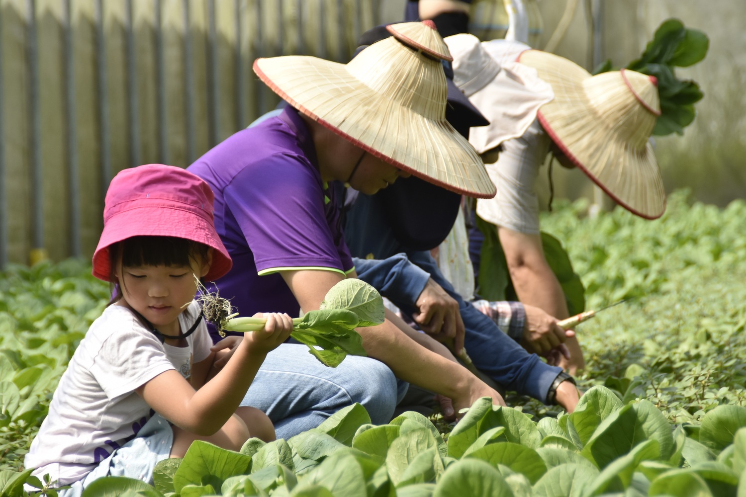 蕭徐行觀點》台灣觀光 花蓮繼位換宜蘭退位