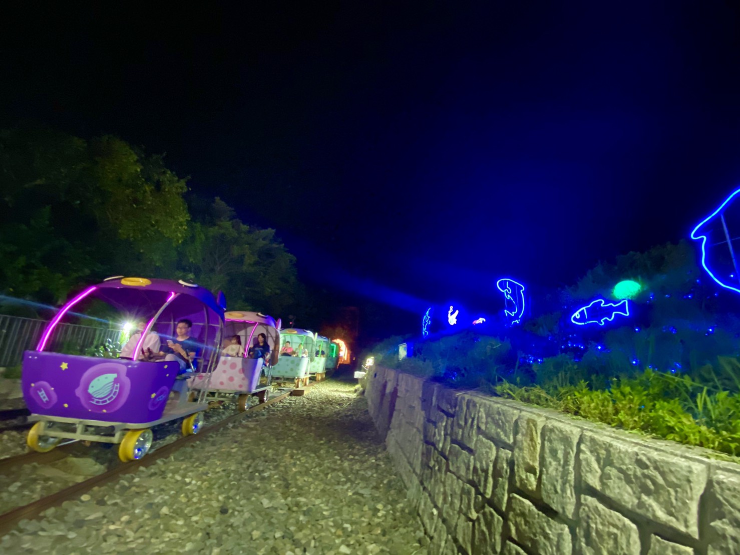 河豚車穿越星光和燈光海洋,欣賞與眾不同的深澳夏日夜晚。 圖:新北市觀光局/提供 河豚車穿越星光和燈光海洋,欣賞與眾不同的深澳夏日夜晚。 圖:新北市觀光局/提供