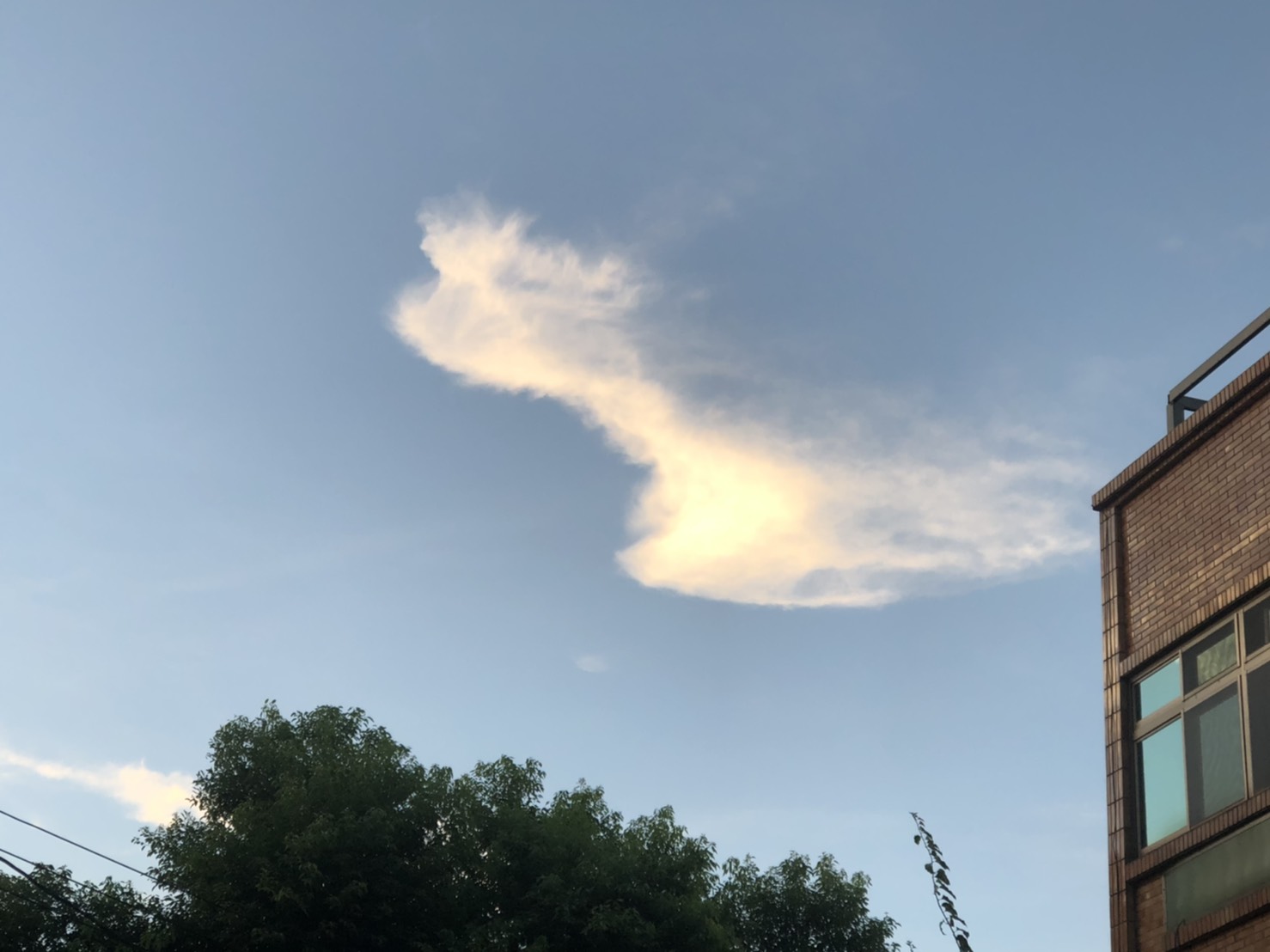 北部豔陽高照！雙北 桃園 金門極端高溫 慎防中暑