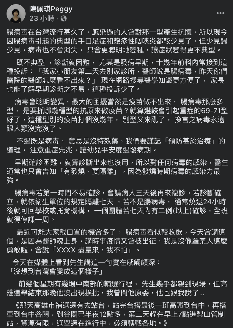 沒錢、網軍、媒體  陳佩琪為柯抱屈：沒意外 注定變成落湯雞