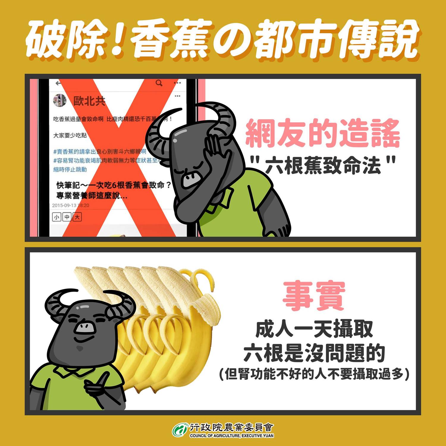 農委會今(1)日表示,成人一天吃6根香蕉是沒問題的,除非是腎功能較差的民眾,不能攝取過多的鉀,才要避免吃過量的香蕉。 圖:取自農委會臉書 農委會今(1)日表示,成人一天吃6根香蕉是沒問題的,除非是腎功能較差的民眾,不能攝取過多的鉀,才要避免吃過量的香蕉。 圖:取自農委會臉書