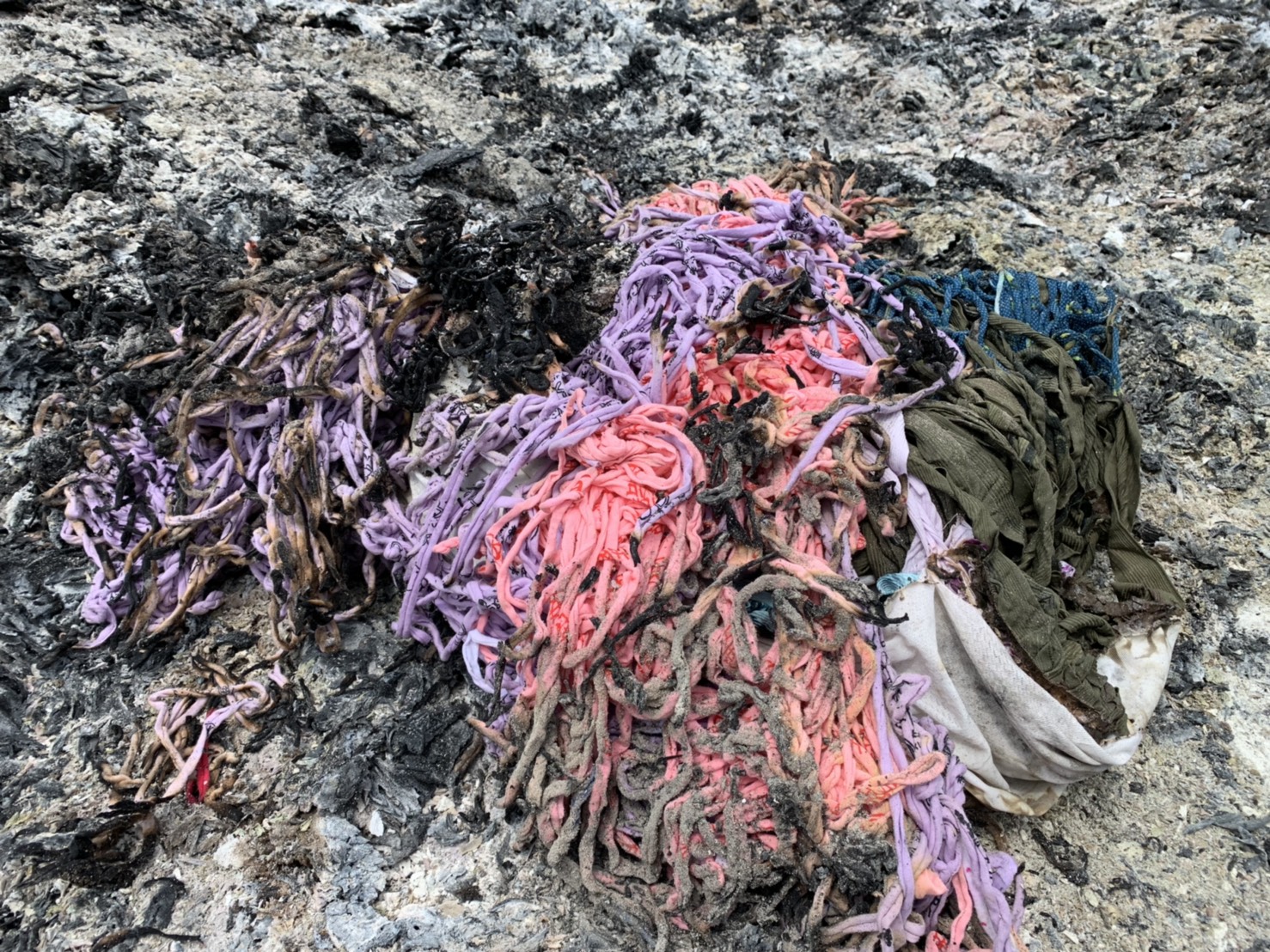 墓仔埔也敢去  新北科技辦案墓園逮獲違規燒廢棄物