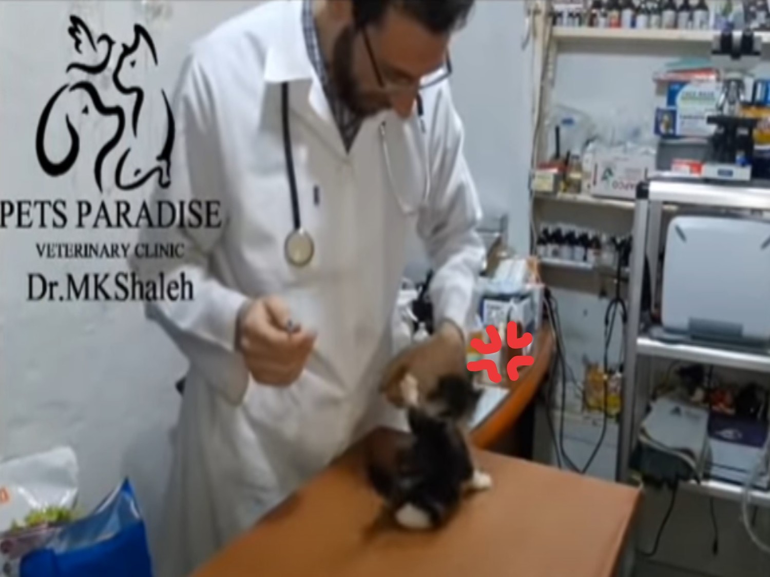 (影)小萌貓討厭打針　生氣抖音狂吼咬獸醫師：偶很兇鼻要過來！