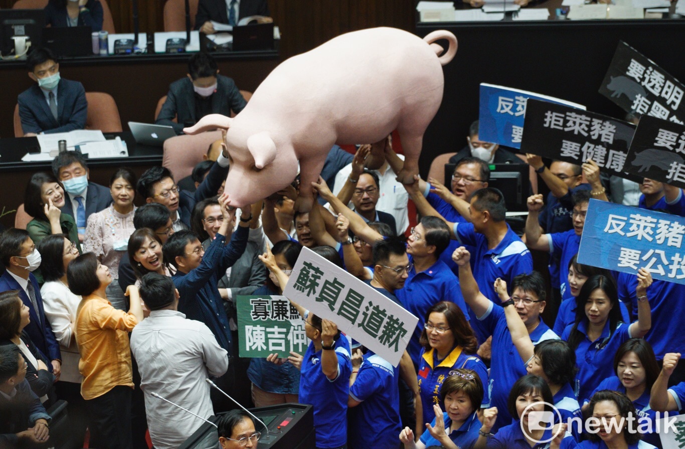 藍委立院抬「豬」抗議 蘇貞昌完全不理睬