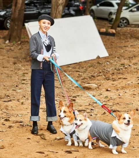 MAMAMOO玟星帶著她的三隻柯基犬「大發」、「幸運」和「健康」一起登場。 圖:翻攝自MBC MAMAMOO玟星帶著她的三隻柯基犬「大發」、「幸運」和「健康」一起登場。 圖:翻攝自MBC