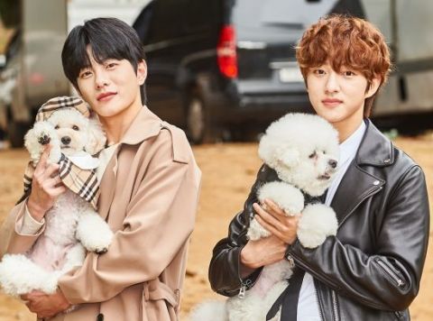 Golden Child有兩名成員參賽,分別是奉宰鉉和愛犬BongGu,以及普閔和愛犬Joy。 圖:翻攝自MBC Golden Child有兩名成員參賽,分別是奉宰鉉和愛犬BongGu,以及普閔和愛犬Joy。 圖:翻攝自MBC