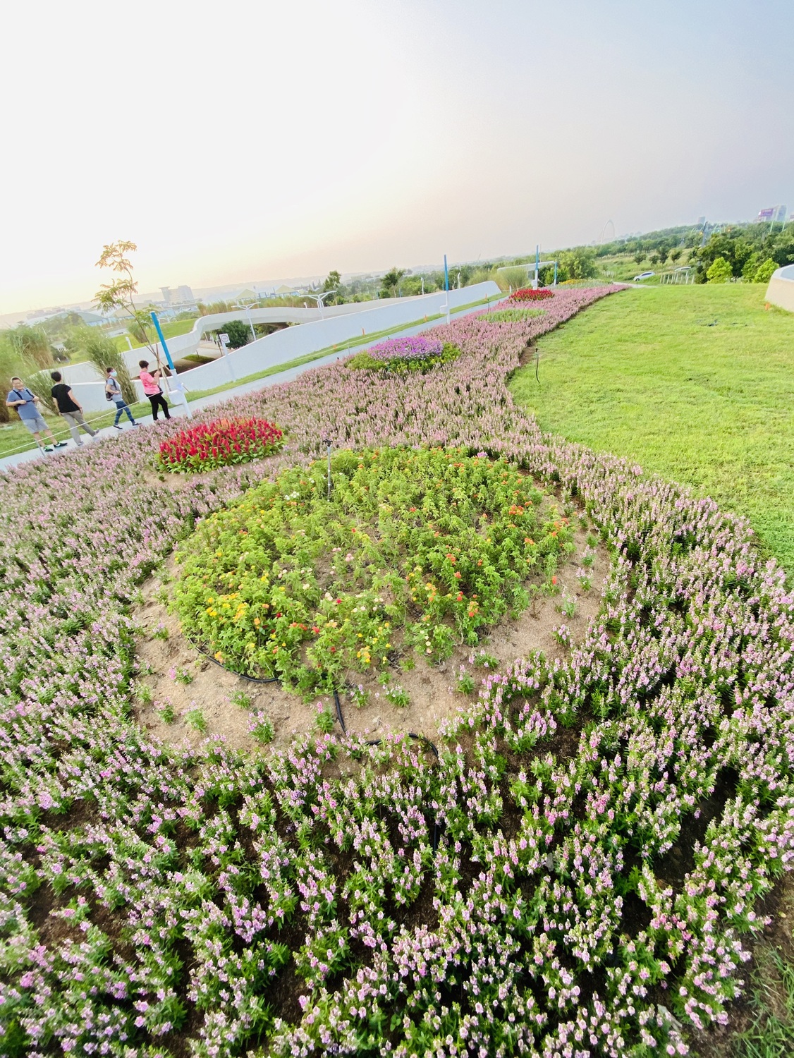 中市中央公園即將開幕_超夢幻歐式花海滿足遊客偽出國體驗。 圖:台中市政府建設局/提供 中市中央公園即將開幕_超夢幻歐式花海滿足遊客偽出國體驗。 圖:台中市政府建設局/提供