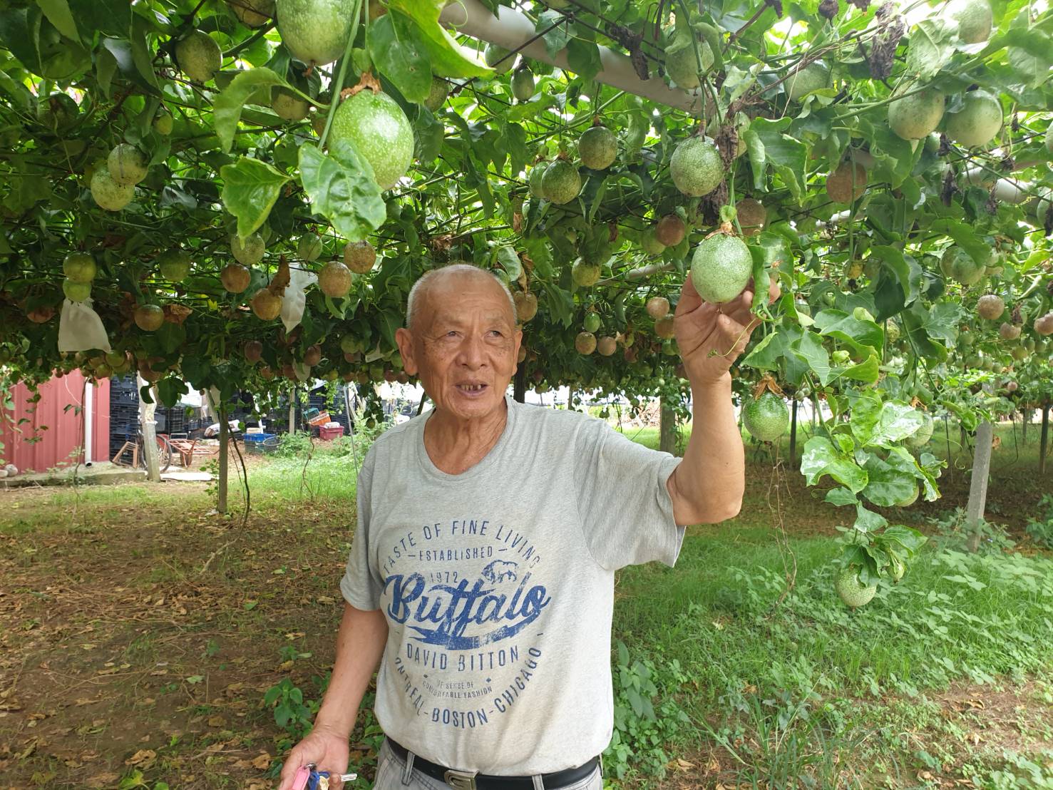 陳水良每天以赤腳感受大地,傾聽植物的聲音。 圖:陳水良/提供 陳水良每天以赤腳感受大地,傾聽植物的聲音。 圖:陳水良/提供