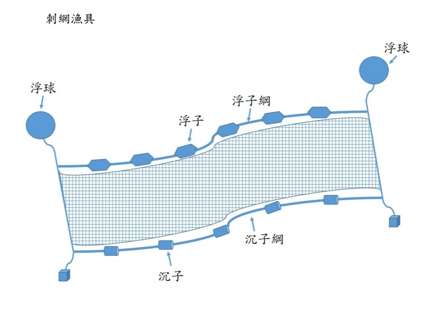 刺網漁具示意圖。 圖:行政院農業委員會漁業署/提供 刺網漁具示意圖。 圖:行政院農業委員會漁業署/提供