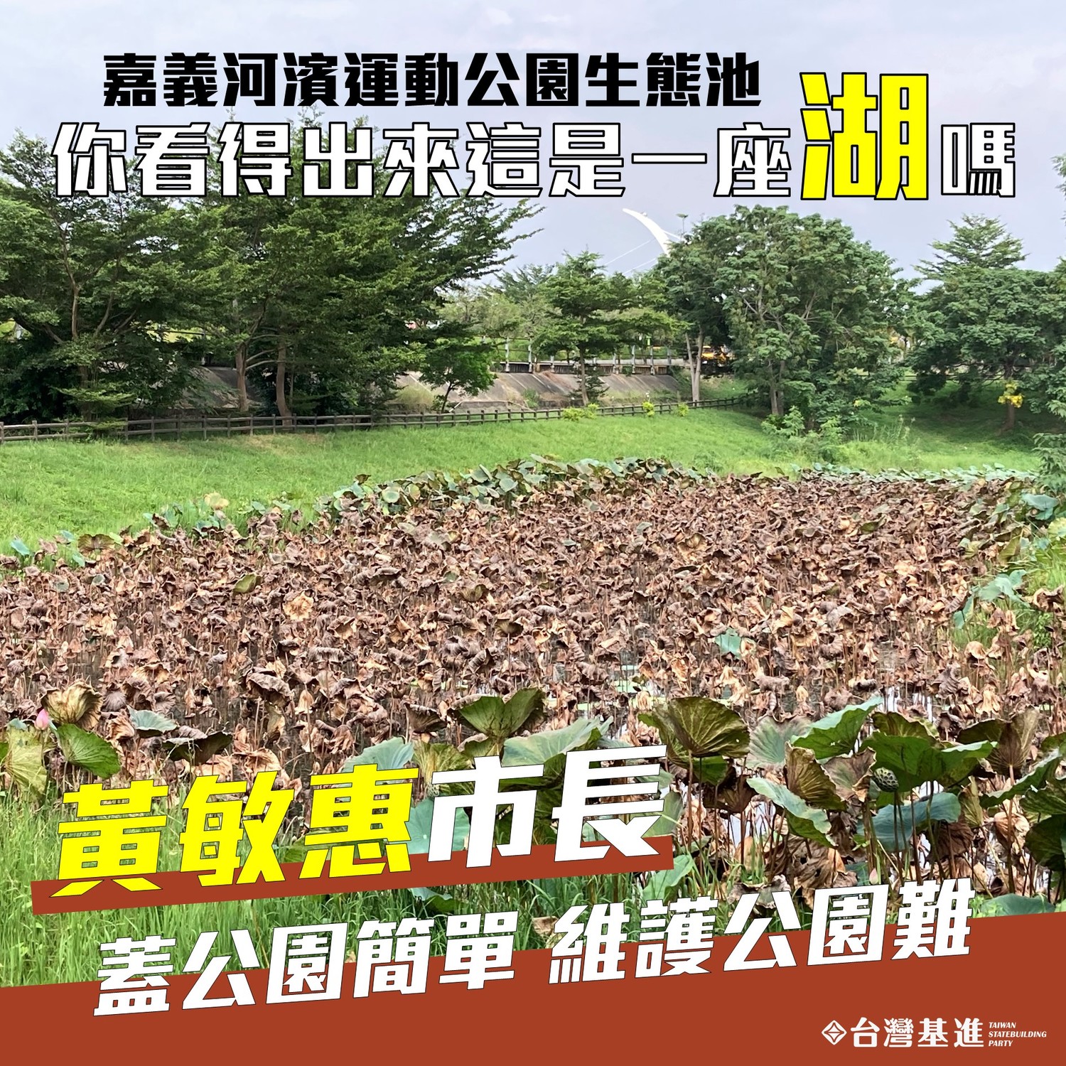 荷花枯萎抨擊市府維護不力被狂酸  嘉義基進道歉