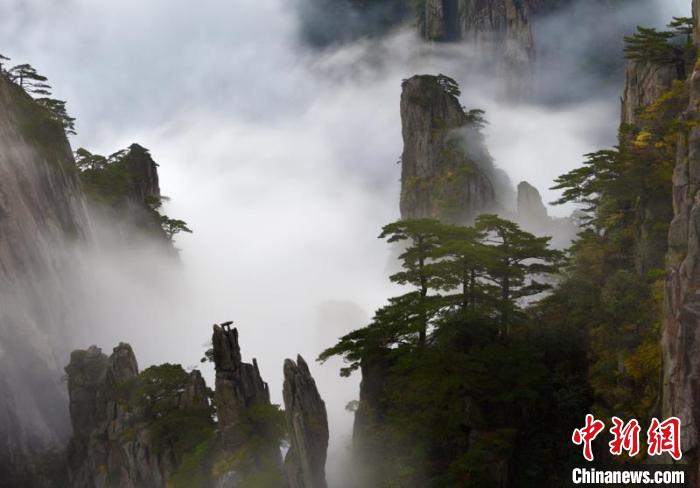 黃山雨後雲海美景。 圖 : 翻攝自中新網 黃山雨後雲海美景。 圖 : 翻攝自中新網