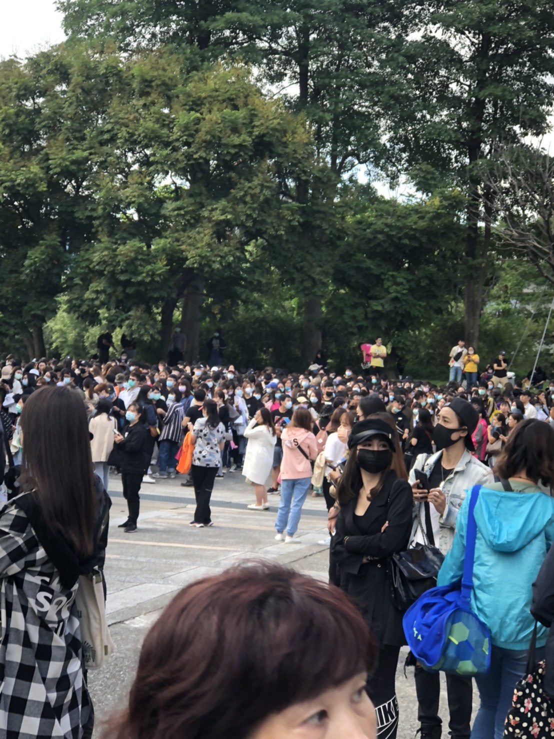 圖:楊瑾錚/攝 圖:楊瑾錚/攝