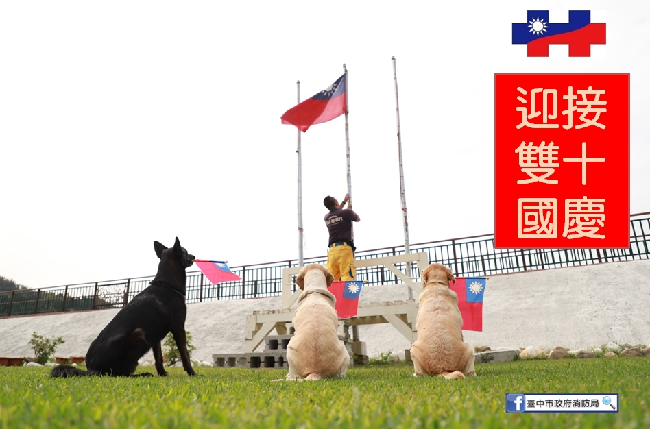 救難英雄腿腿、斯斯、Jacob、鐵雄等搜救犬叼著國旗排排站,看著青天白日滿地紅的國旗緩緩升起,一起祝賀「雙十國慶 普天同慶」。 圖:台中市消防局/提供 救難英雄腿腿、斯斯、Jacob、鐵雄等搜救犬叼著國旗排排站,看著青天白日滿地紅的國旗緩緩升起,一起祝賀「雙十國慶 普天同慶」。 圖:台中市消防局/提供