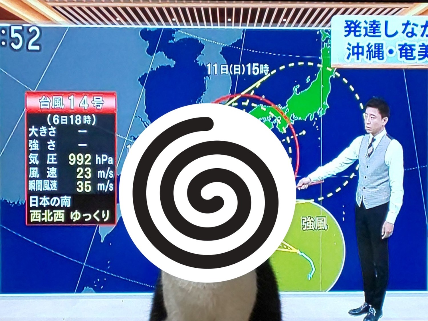 主播報氣象遭「牠」亂入　網笑：這颱風我可以！