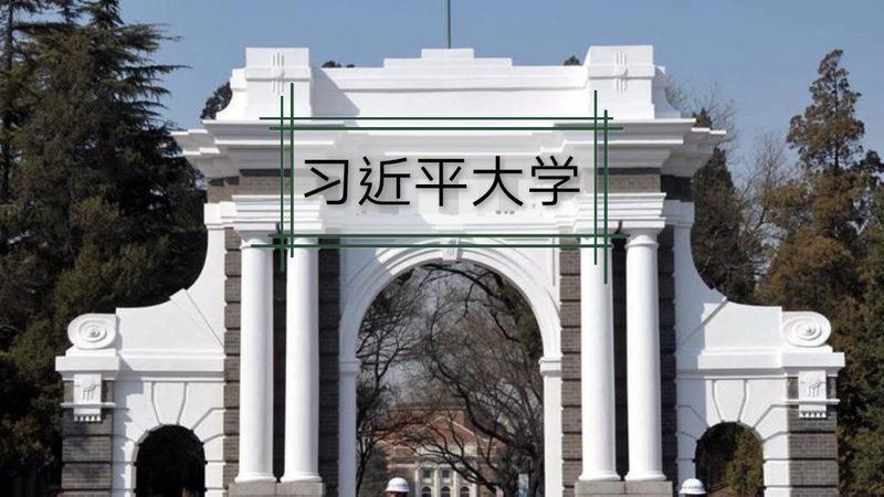 中共「經濟國師」請願 傳清華大學改名「習近平大學」