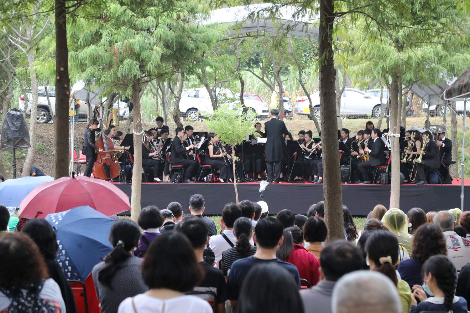 嘉縣魚寮森林音樂會  古老濕地重現生機
