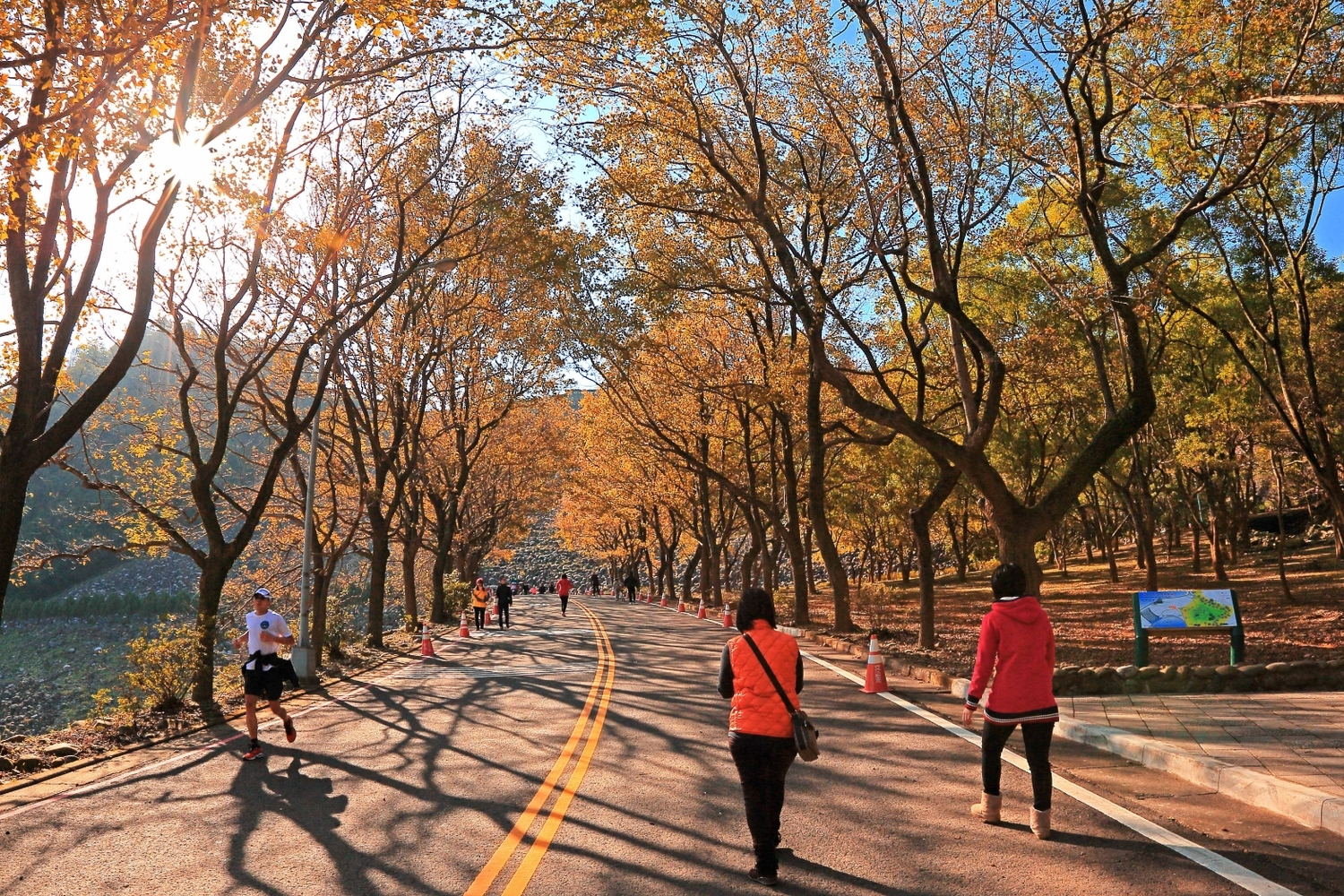 石門水庫周邊有北台灣最大的楓林區。 圖:桃園市政府觀旅局/提供 石門水庫周邊有北台灣最大的楓林區。 圖:桃園市政府觀旅局/提供