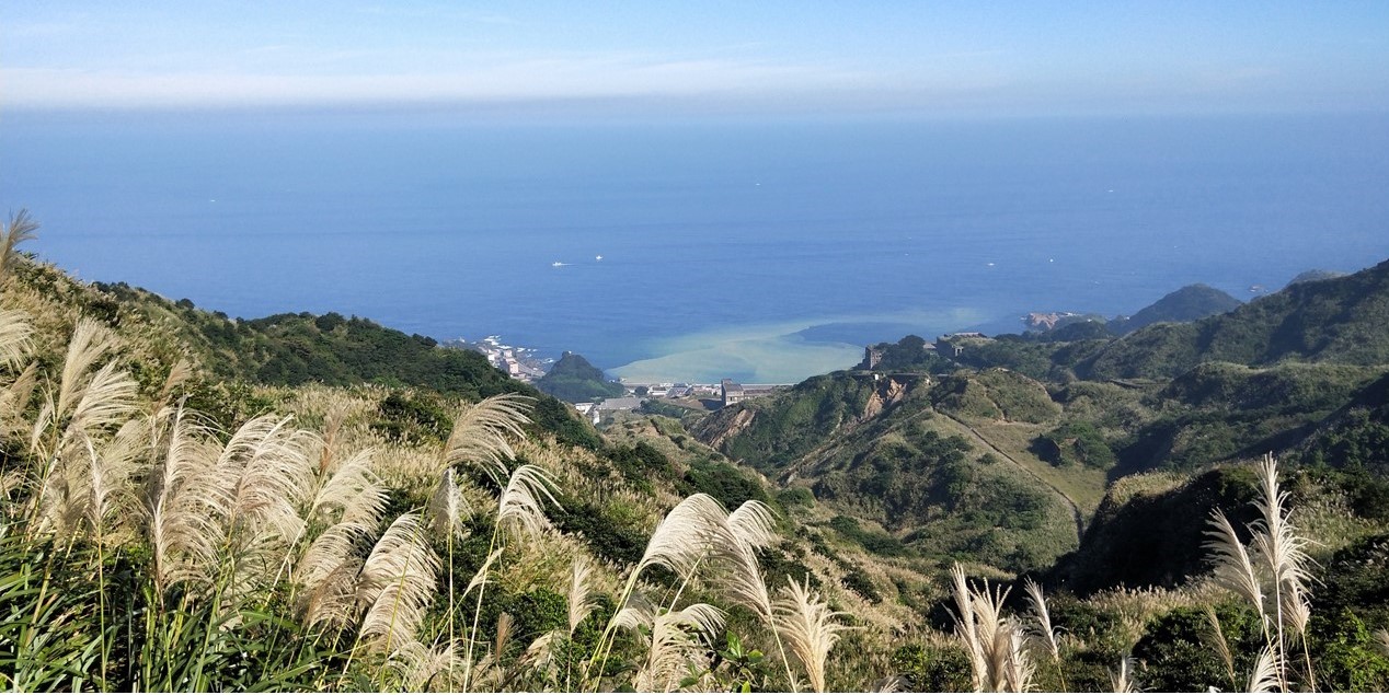 芒花古道-金瓜石浪漫公路觀景台。 圖:新北市觀傳局/提供 芒花古道-金瓜石浪漫公路觀景台。 圖:新北市觀傳局/提供