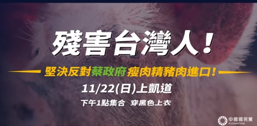 11/22國民黨號召反萊豬大遊行 圖:截取自臉書 11/22國民黨號召反萊豬大遊行 圖:截取自臉書