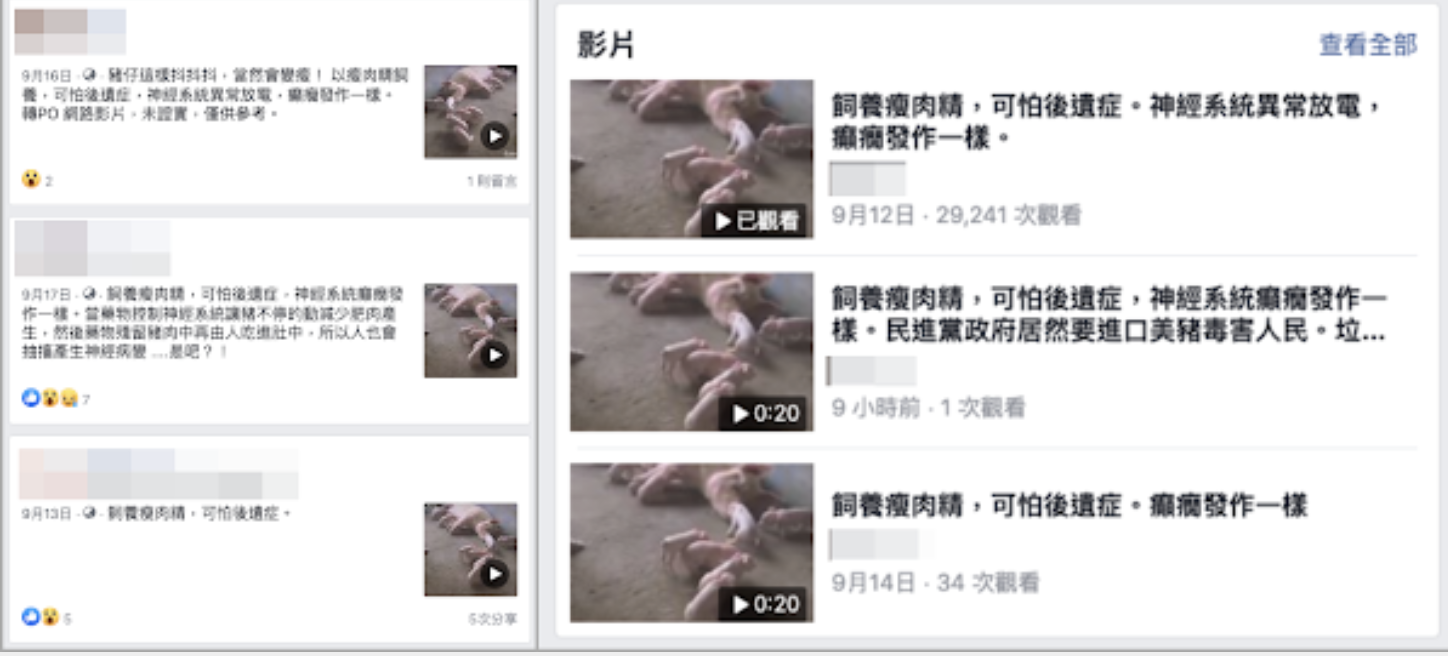 國民黨臉書發豬吃瘦肉精顫抖影片  防檢局：假消息送辦