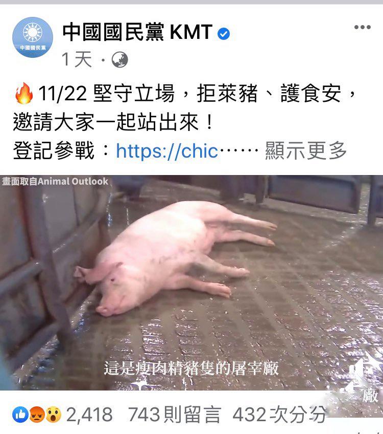 國民黨張貼與豬隻顫抖影片,後被證實與萊豬議題無關。 圖:翻攝自中國國民黨臉書 國民黨張貼與豬隻顫抖影片,後被證實與萊豬議題無關。 圖:翻攝自中國國民黨臉書
