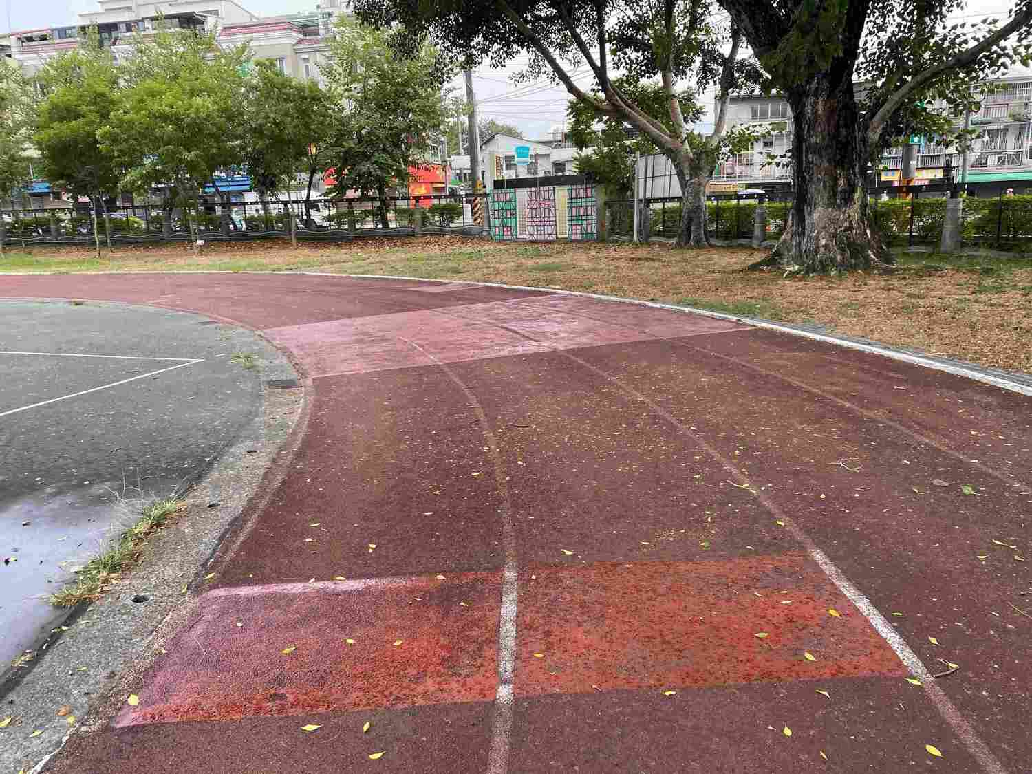 嘉義市推廣校園生態教育 PU跑道逐年退場