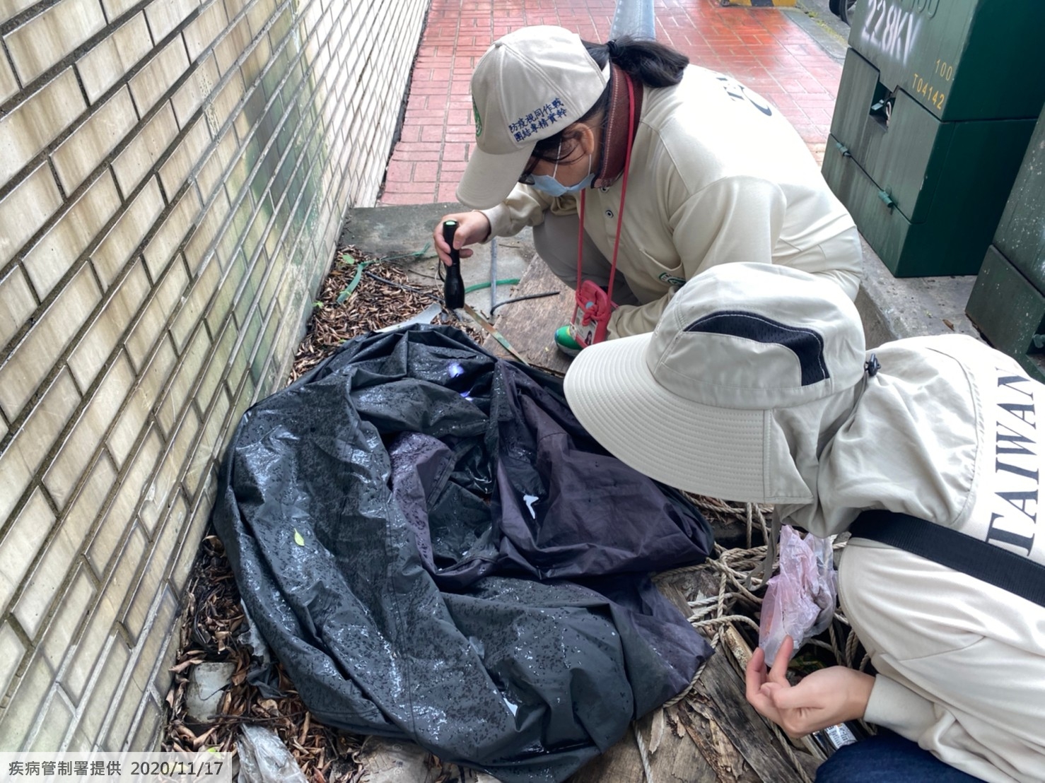 本土登革熱入冬一樣來！疾管署：桃園新添1群聚病例