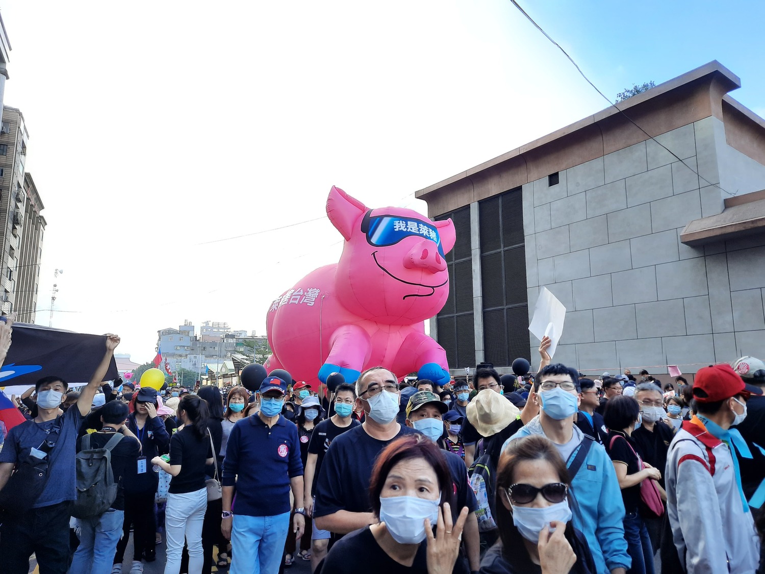 國民黨搬出兩隻大萊豬參與遊行。 圖:陳佩君/攝 國民黨搬出兩隻大萊豬參與遊行。 圖:陳佩君/攝