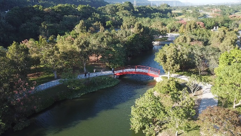 三坑自然生態公園就是一個等待你探訪發掘的秘境。 圖:桃園市觀旅局/提供 三坑自然生態公園就是一個等待你探訪發掘的秘境。 圖:桃園市觀旅局/提供