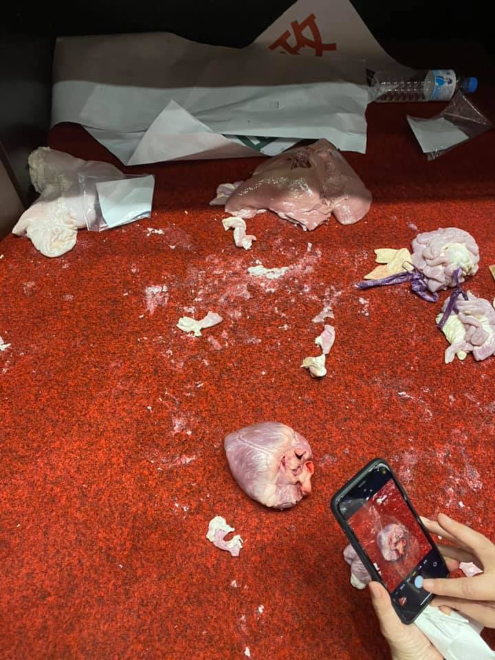 林俊憲說,「看到丟在地上的豬心實在覺得可惜,國民黨為何要浪費食物?拿來台南做美食不是很好嗎?」 圖:翻攝林俊憲臉書 林俊憲說,「看到丟在地上的豬心實在覺得可惜,國民黨為何要浪費食物?拿來台南做美食不是很好嗎?」 圖:翻攝林俊憲臉書