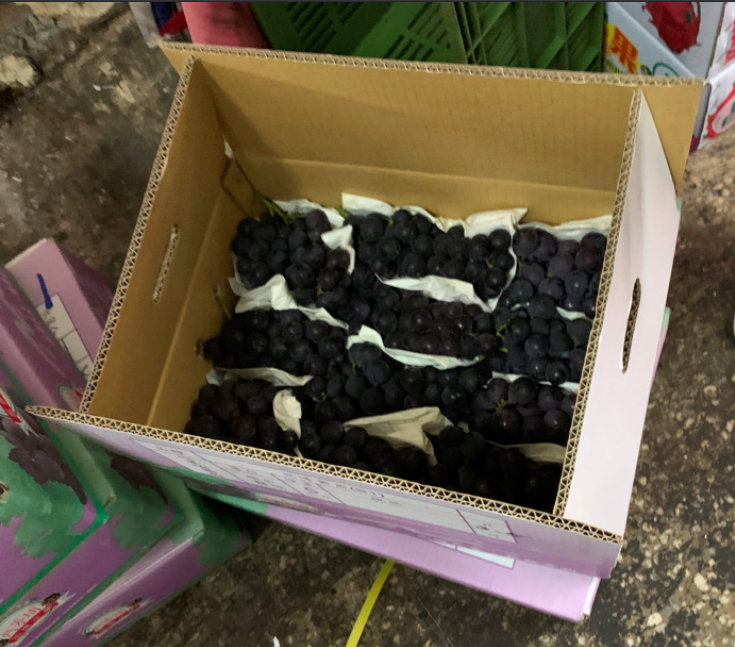 巨峰葡萄。 圖:台北市衛生局/提供 巨峰葡萄。 圖:台北市衛生局/提供