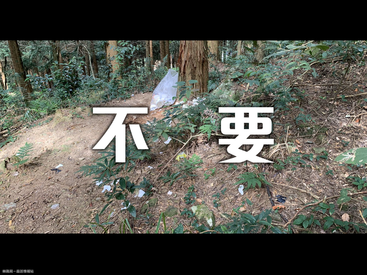 林務局表示,近期加里山出現大量只用過的「小白花」衛生紙。 圖:翻攝自林務局-森活情報站臉書 林務局表示,近期加里山出現大量只用過的「小白花」衛生紙。 圖:翻攝自林務局-森活情報站臉書