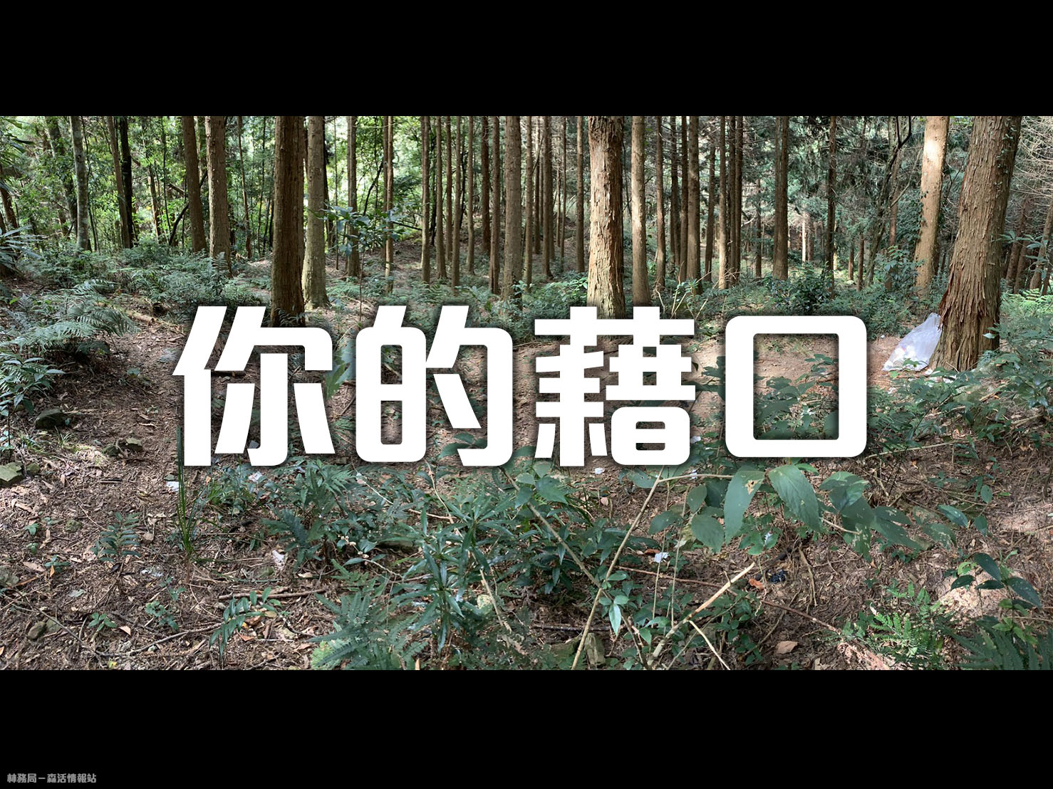 林務局表示,近期加里山出現大量只用過的「小白花」衛生紙。 圖:翻攝自林務局-森活情報站臉書 林務局表示,近期加里山出現大量只用過的「小白花」衛生紙。 圖:翻攝自林務局-森活情報站臉書