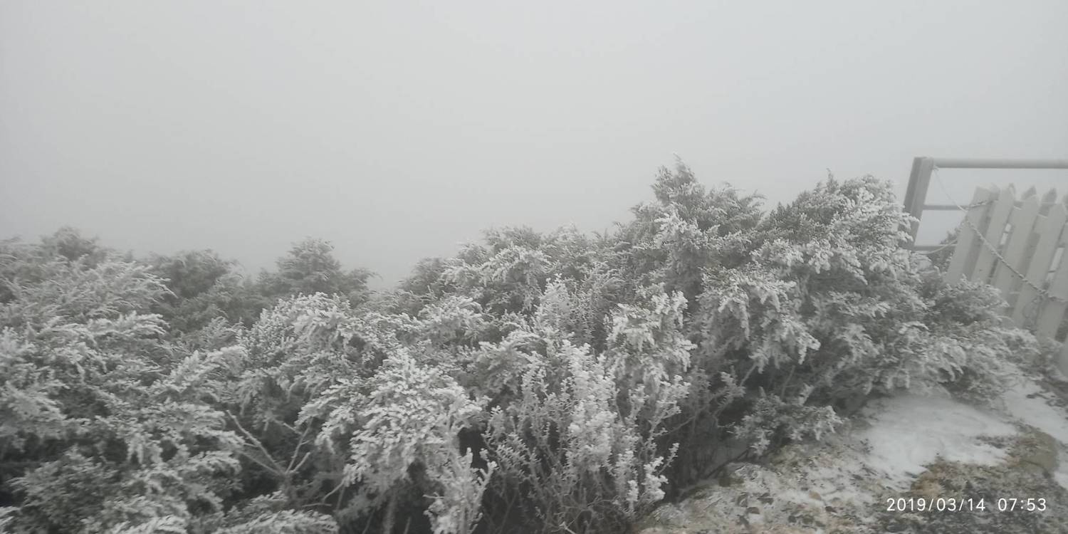 玉山初雪要來了？！氣象局：今晚機會大