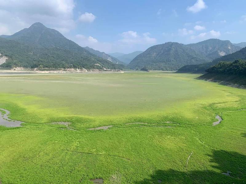 全台最大曾文水庫見底！照片曝光網驚：像高爾夫球場