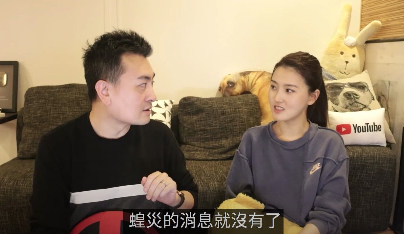 老高解析四千億隻蝗蟲為何神秘消失：是一個死循環