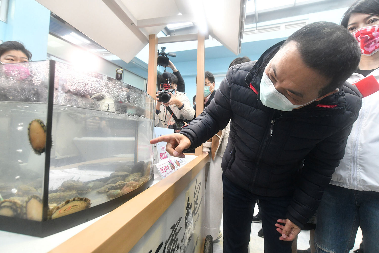 侯友宜推薦貢寮鮑不只鮮甜美味、肉質Q彈,料理方式相當多元,還含有豐富的營養能強身健體。 圖:新北市新聞局提供 侯友宜推薦貢寮鮑不只鮮甜美味、肉質Q彈,料理方式相當多元,還含有豐富的營養能強身健體。 圖:新北市新聞局提供