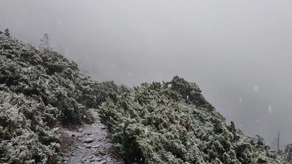 雖然尚未達積雪5公分以上,然而冬季登山的步道結冰濕滑才是最危險的挑戰。 圖:玉管處/提供 雖然尚未達積雪5公分以上,然而冬季登山的步道結冰濕滑才是最危險的挑戰。 圖:玉管處/提供