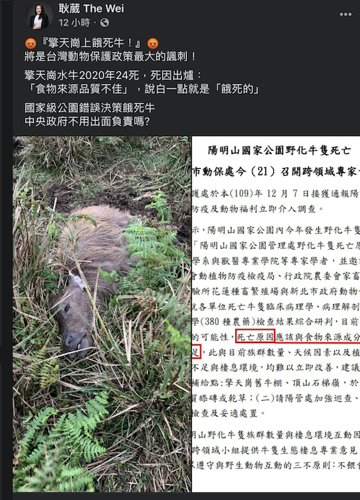耿葳臉書貼文。 圖:翻攝自耿葳Facebook 耿葳臉書貼文。 圖:翻攝自耿葳Facebook